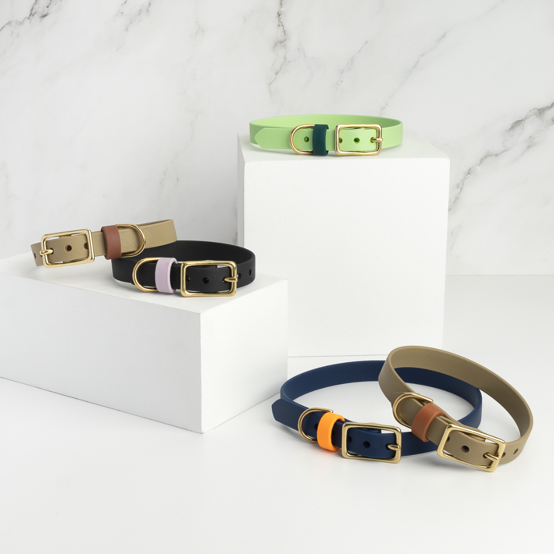 Venture | Classic Collar