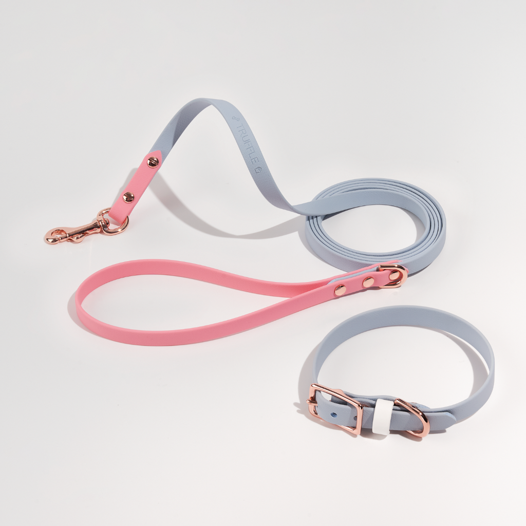 Discover | Classic Leash