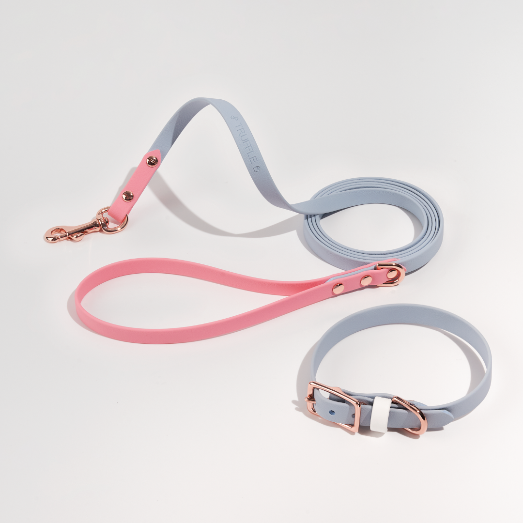 Discover | Classic Leash