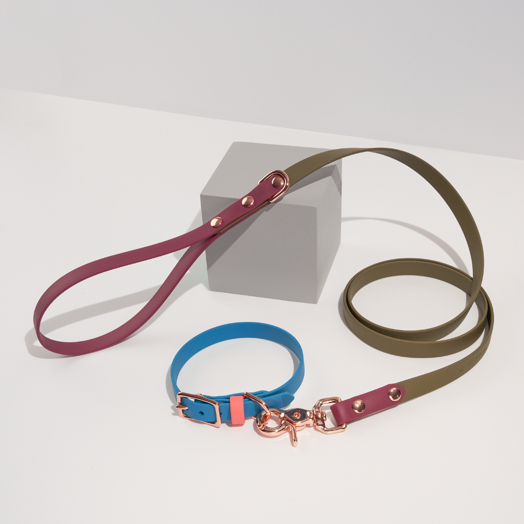 Discover | Classic Leash