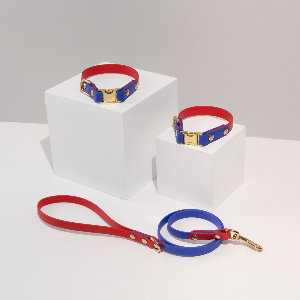 Discover | Classic Leash