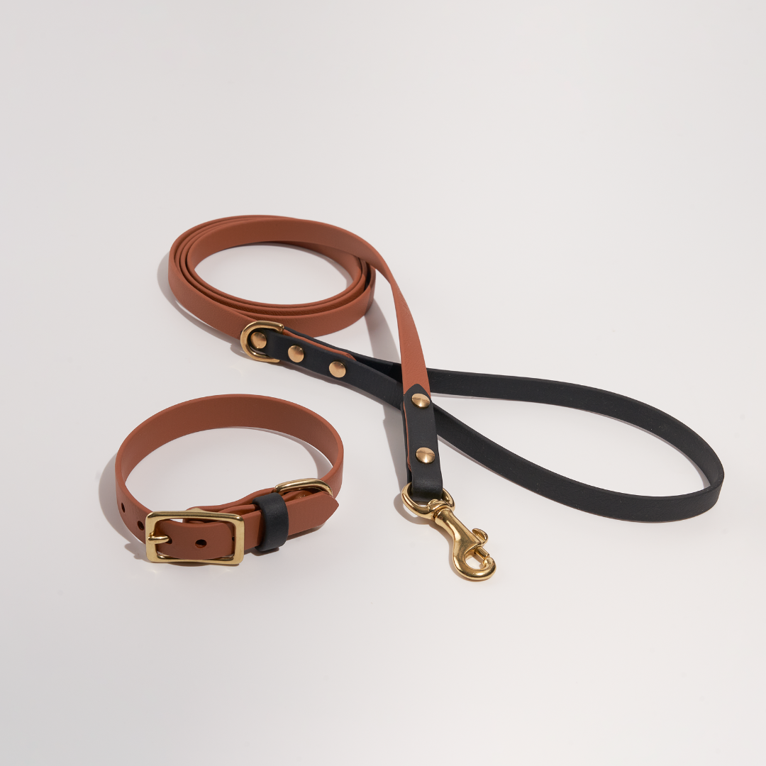 Discover | Classic Leash
