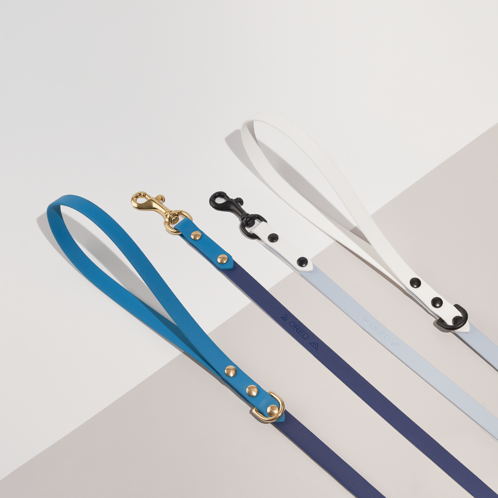 Discover | Classic Leash