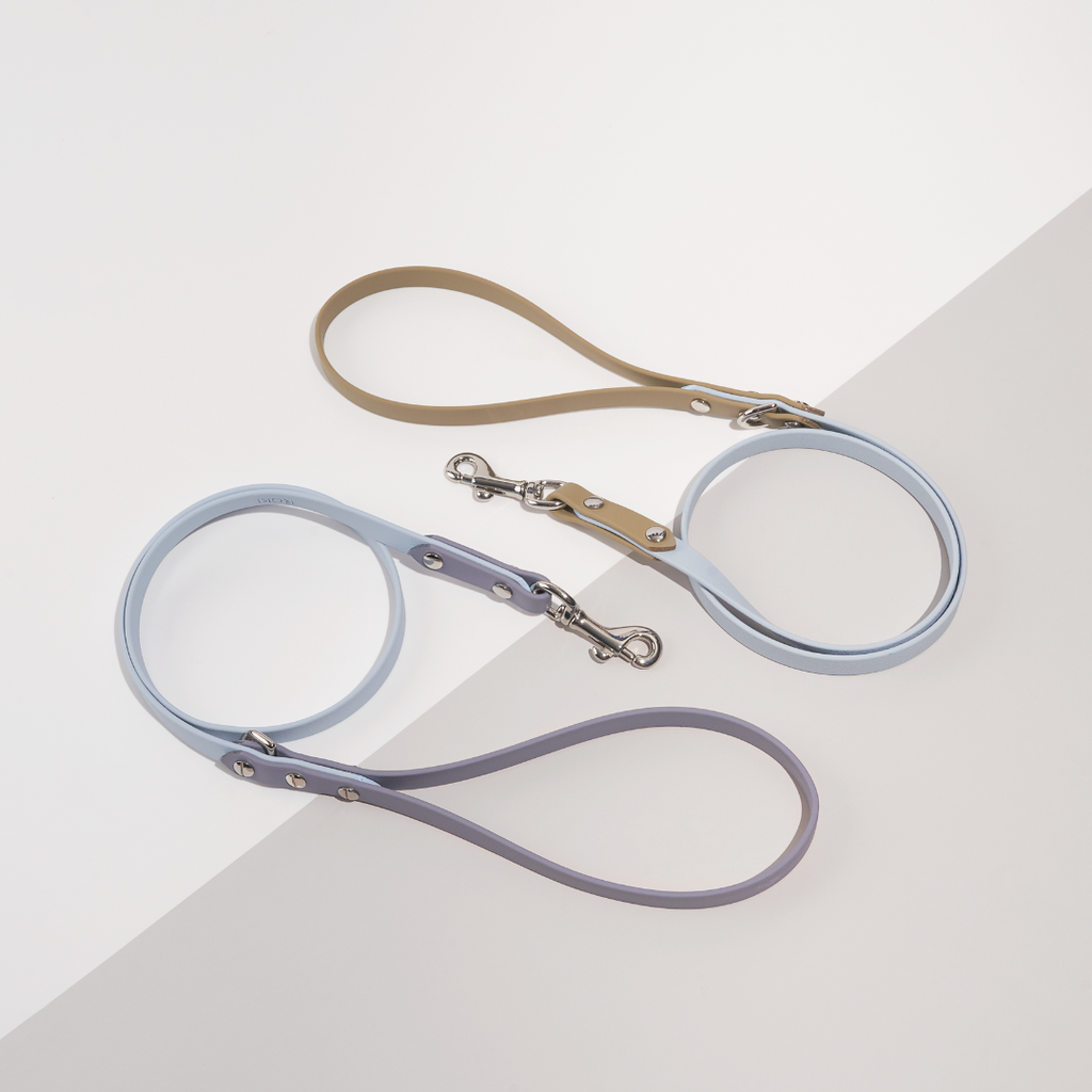 Discover | Classic Leash