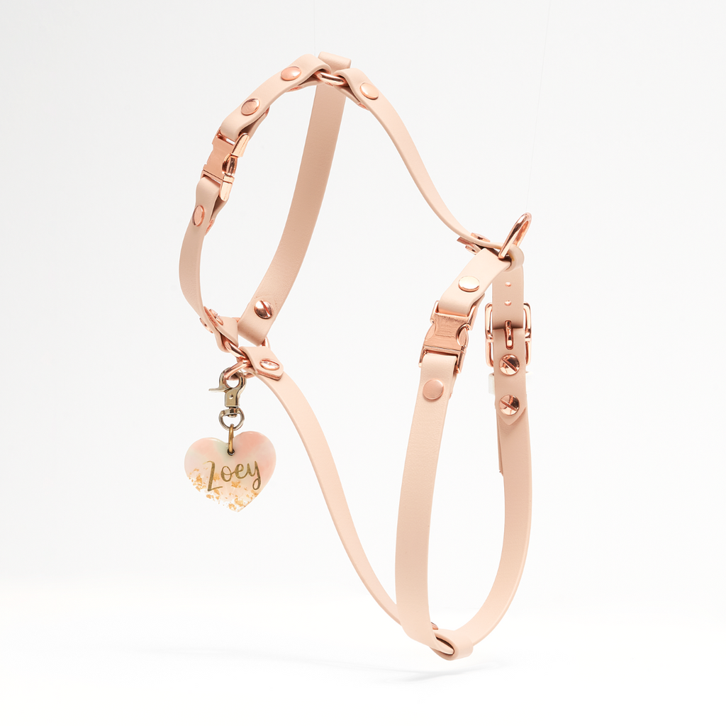 Traverse | Y Harness
