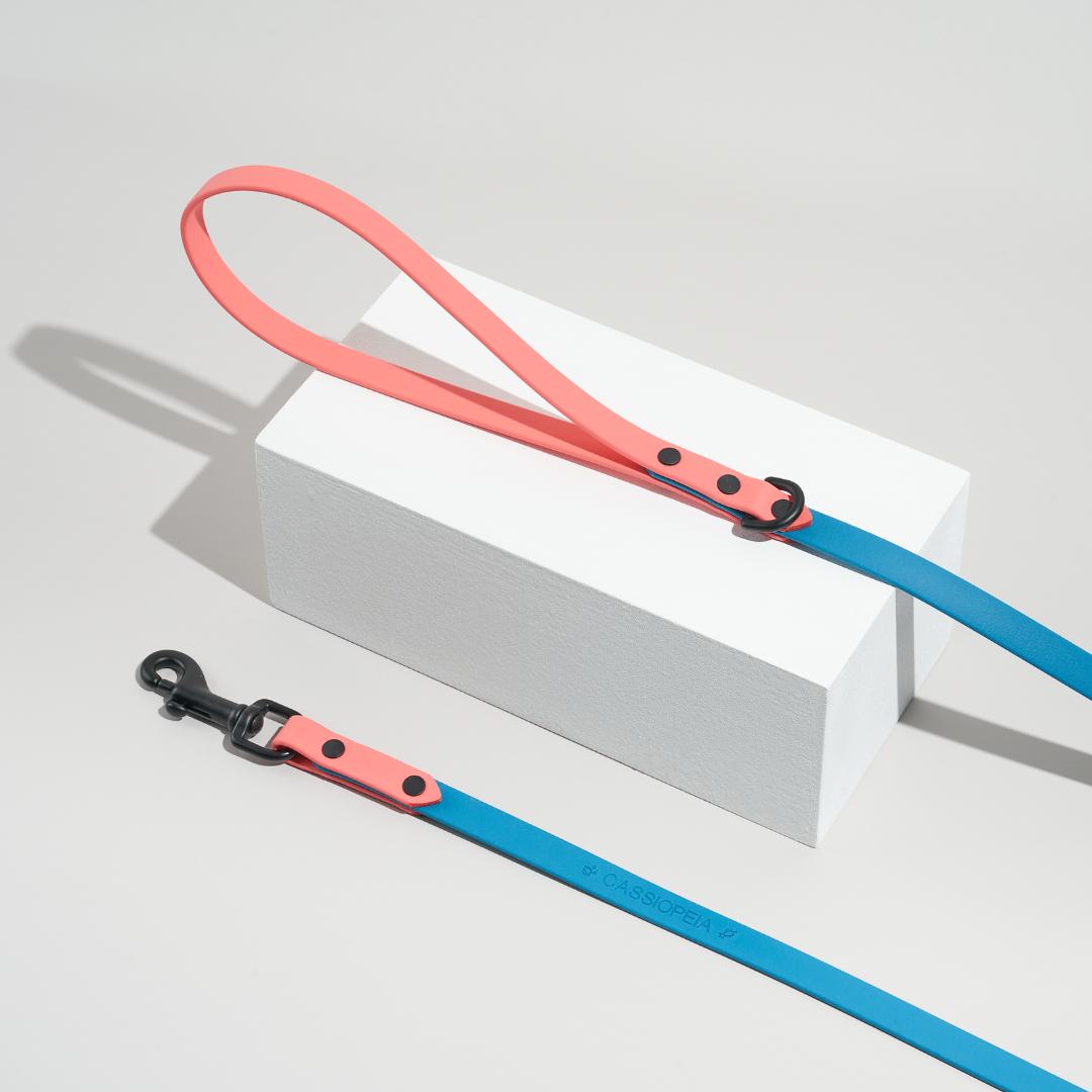 Discover | Classic Leash
