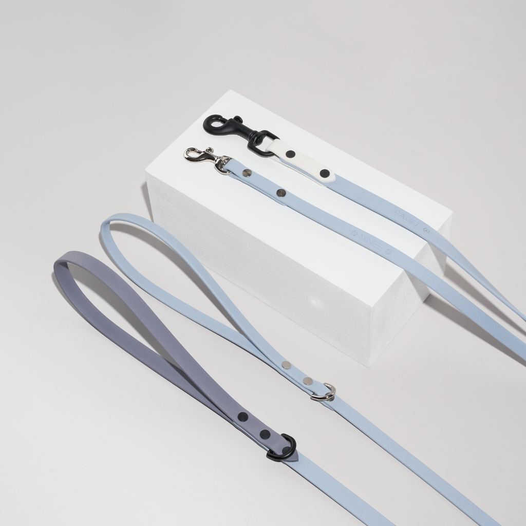 Discover | Classic Leash