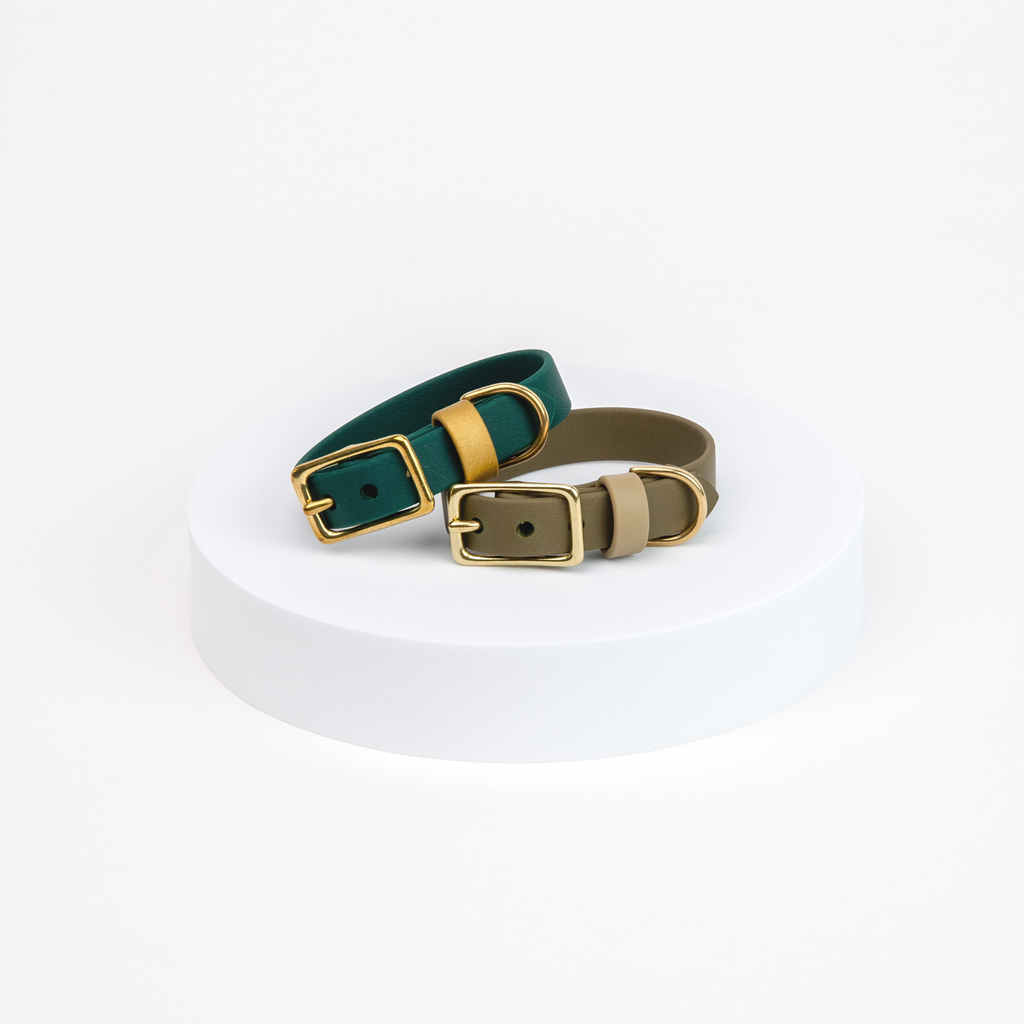 Venture | Classic Collar