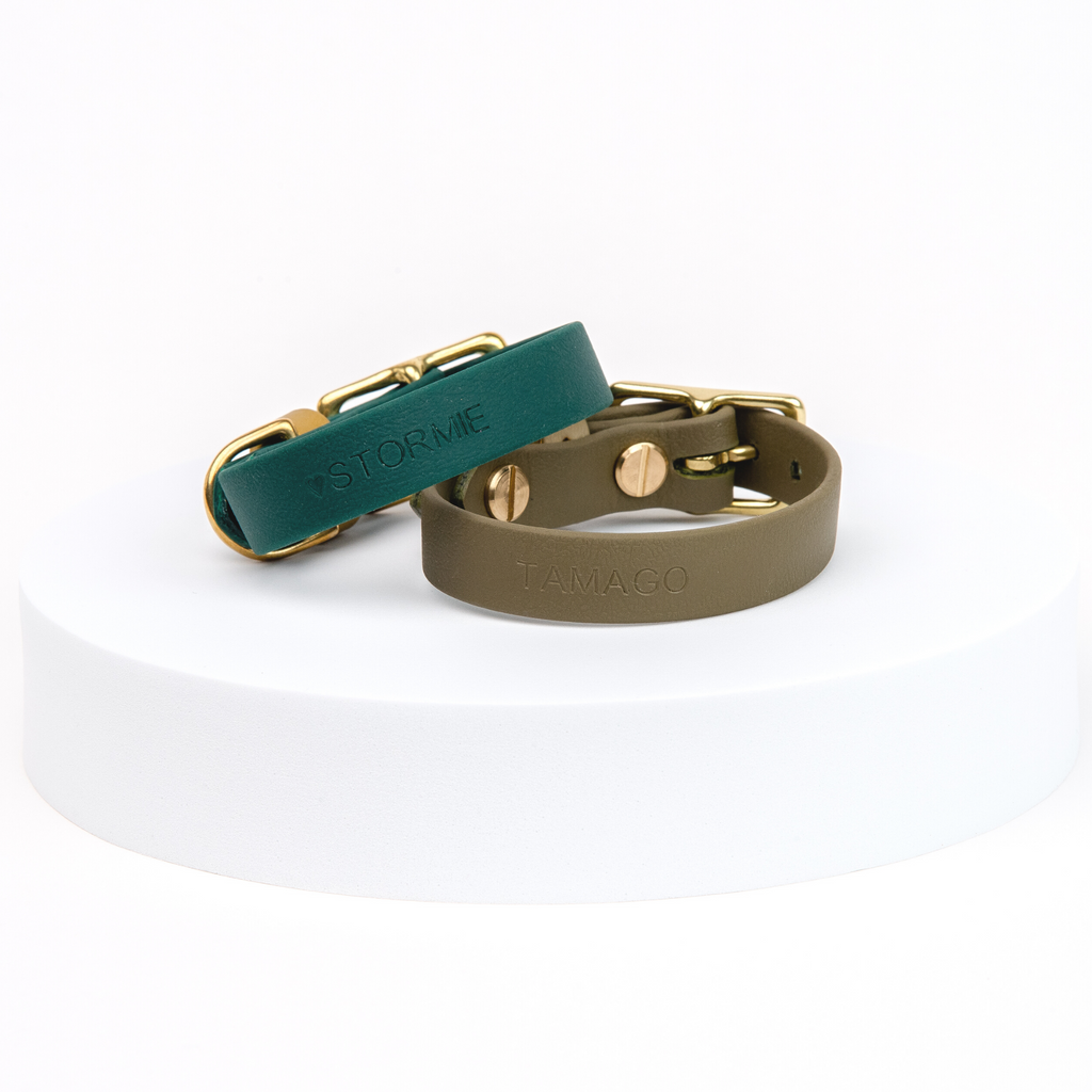 Venture | Classic Collar