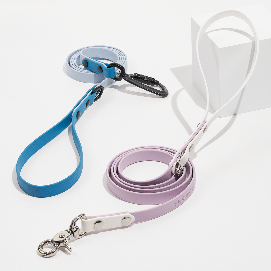 Discover | Classic Leash