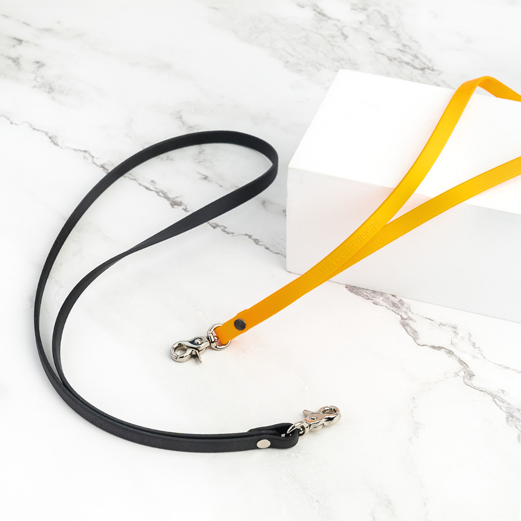 Lanyard