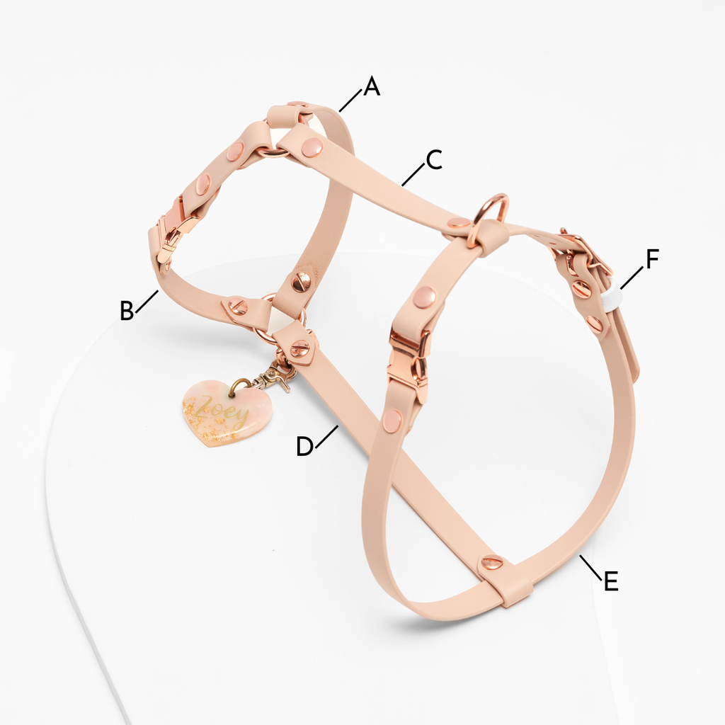 Traverse | Y Harness