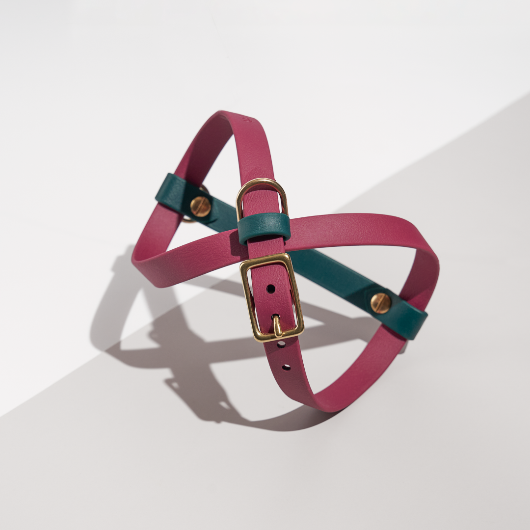Wayfarer | Figure of Eight Harness