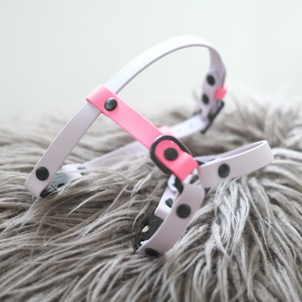 Traverse | Y Harness