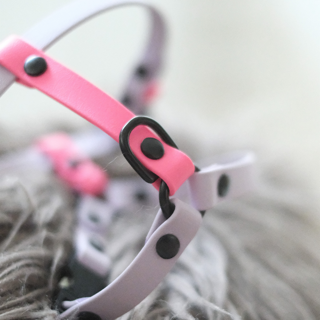 Traverse | Y Harness